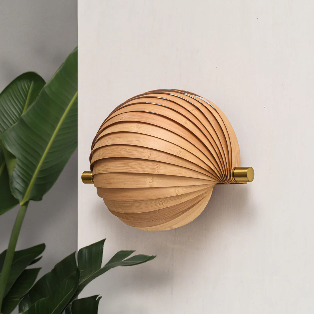 Seashell Wall Lamp: Unique Light Sconce for Home Restaurants and Offices [25cm/10in(W) X 35cm/14in(H) X 17.5cm/7in(D)]